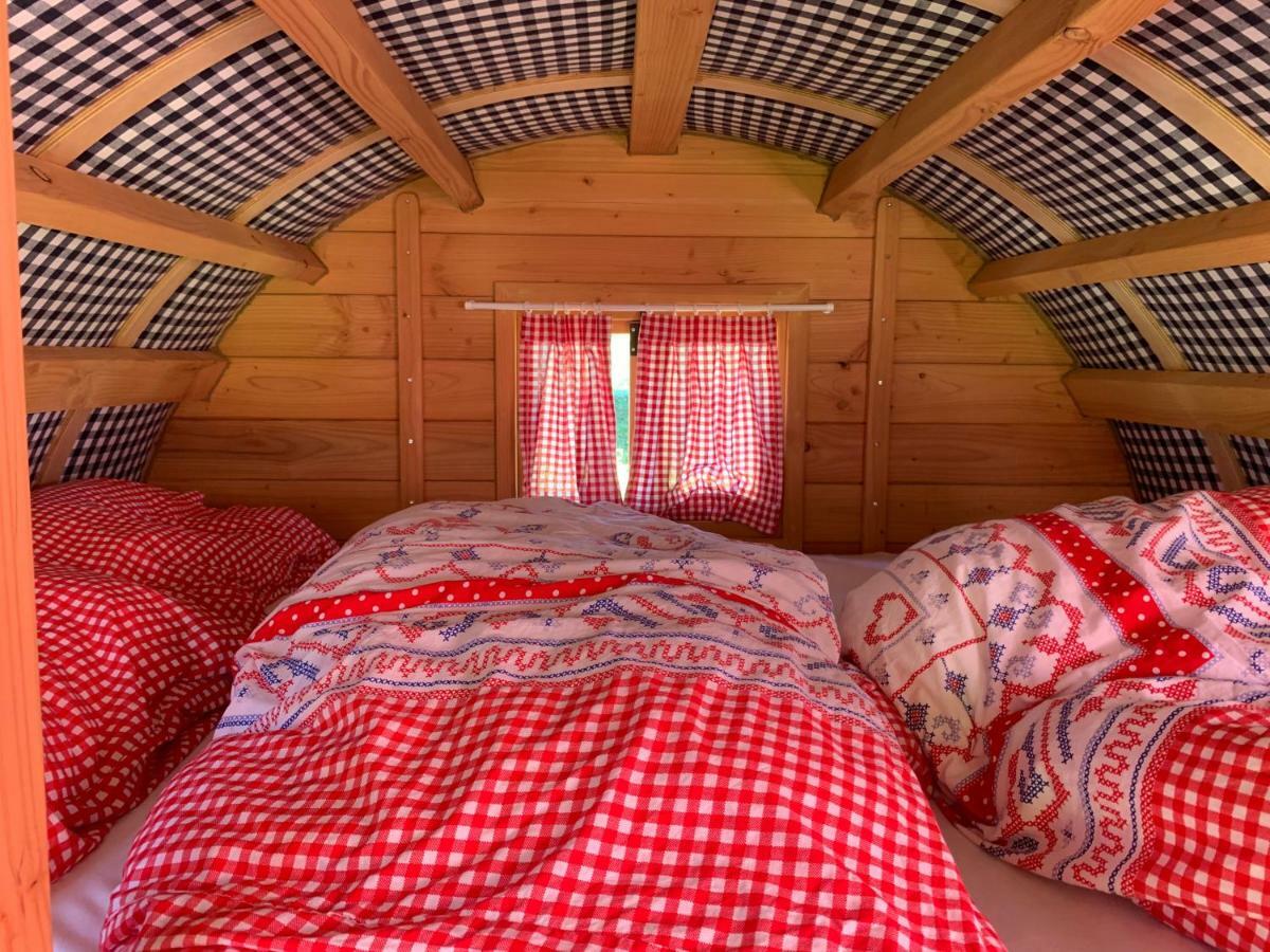 #Glamping@De Verloren Sinjoor Bladel Exterior photo